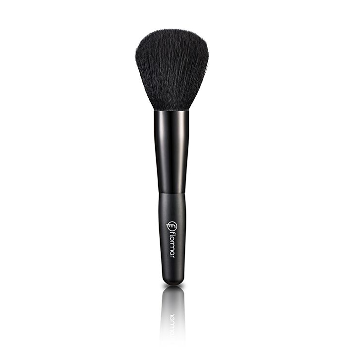 macam-macam brush make up