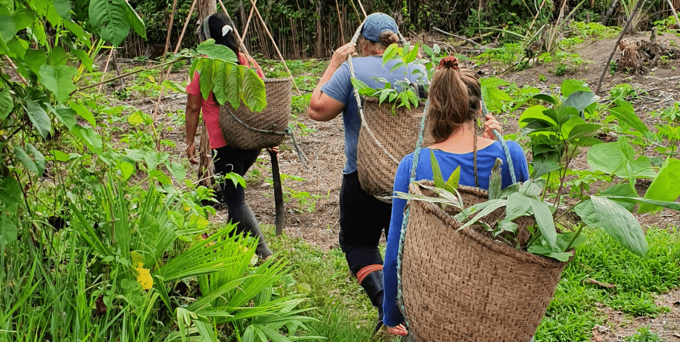 PlantForLife - Fondation Yves Rocher - English