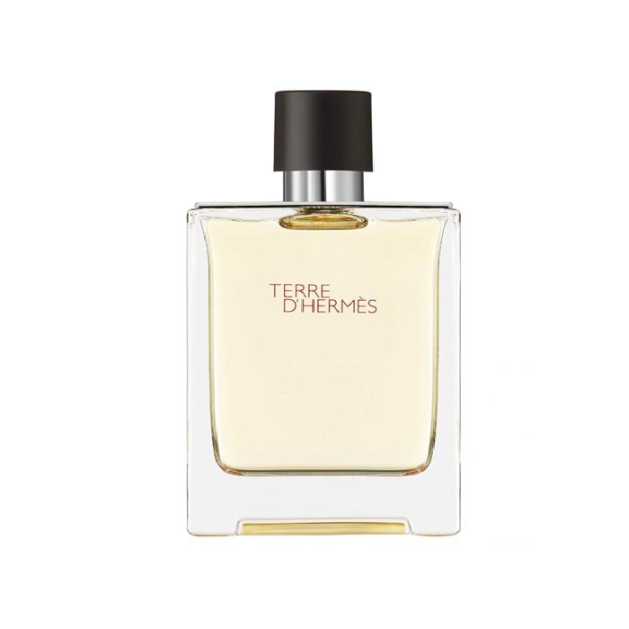 Hermes Terre De Hermes EDT 100 ml