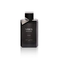 Louis Varel Vibes Intense for Men EDP 100 ml