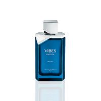 Louis Varel Vibes For Men EDP 100 ml