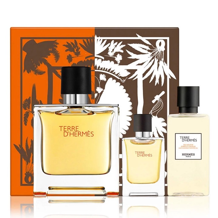 Hermes Terre D'Hermes EDT 100 ml Coffret