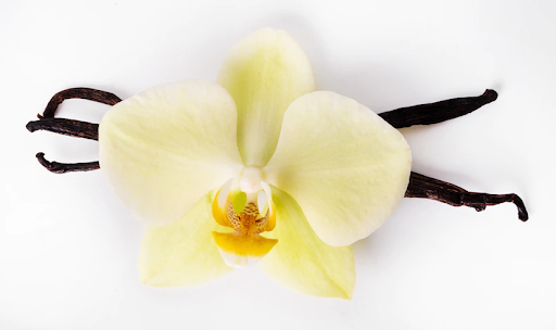 Sweet dan Soft, 4 Parfum Aroma Vanilla di C&F Store yang Bisa Kamu Miliki