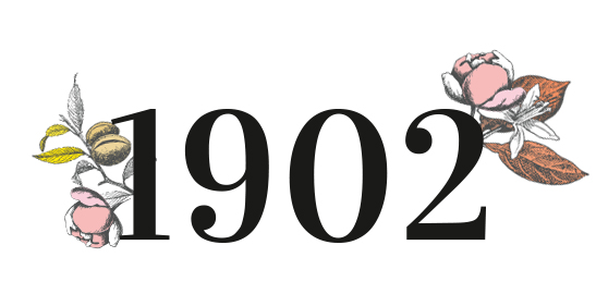 1902