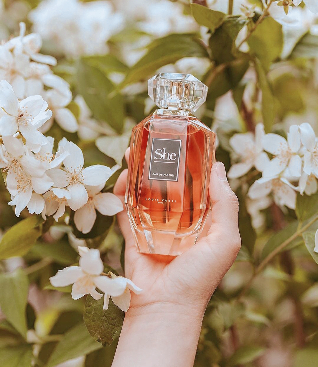 She Louis Varel perfume - a fragrance for women 2019